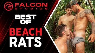 Wet & Wild Hardcore Beach Bang - Falcon Studios