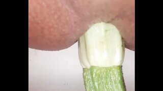 Amateur Gay Guy Enjoys Zucchini in His AssSoloAdventure