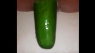 Gay Cucumber Anal Fun – Solo Masturbation Adventure