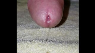Latino Twink MrCookieCrumbler Drips Wet During Intense Anal Solo Play