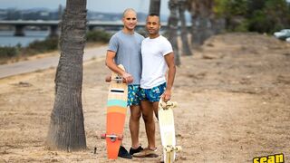 Bald White Frankie Pounds Bald Black Chris Hard - Passionate Gay Sex