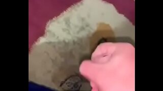 Real Gay Amateur Cutsie Craving Milk Gets Fucked Hard