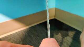 Naughty Guys Secretly Pee in Clothing Store Fitting Rooms