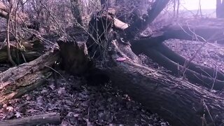 Latex-clad Beauty Shows Off Her Pussy in Public Forest Adventure