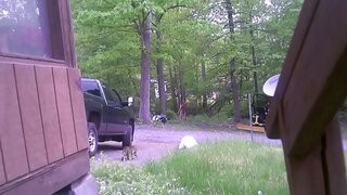 Trash Day Turned Hot – Naked Gay Fun in Public Spaces
