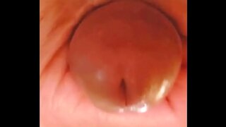 Amateur Guy Gives Intense Cock Head Close–Up In Solo Session
