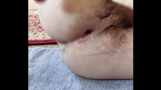 18+ Virgin Boy 18+ Explores His Hole in a Hot Solo Gay Anal Toy Session