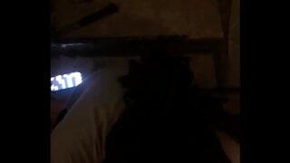 Intense Gloryhole blowjob With Black Amateur Stud