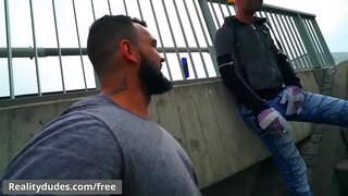 Ivo Kerk and Roman Baren Swap Blows in Public With Passing Cars - RealityDudes