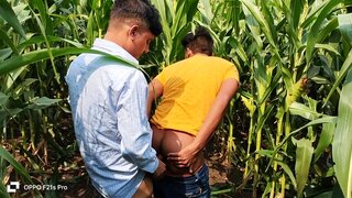 College Boy 18+ Meets Teacher for Hot Sex Amidst Golden Cornfields