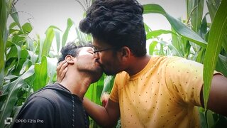 Hilarious Cornfield Romance – Two Men Explore Desire and Laughter