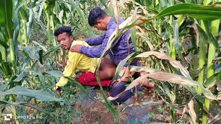 Hot Laborer Takes On Partner Amidst Golden Cornfields In Steamy Indian Gay Scene