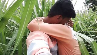 Passionate Men Share Sizzling Intimacy Amidst Lush Indian Sugarcane Fields