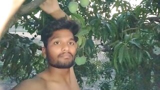 Sizzling Summer Fun – Him Sensually Sucking Juicy Mango Under Tree Shade