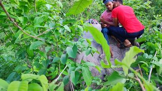 Sizzling Passion in the Guava Garden – He Unleashes Wild Pleasure