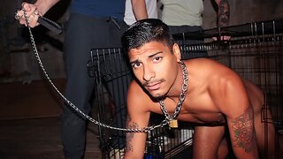 Hazing Goes Extreme – Apollo’s Intense Anal Initiation Into The Frat