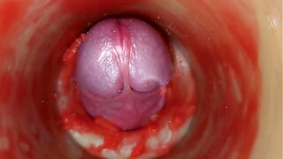 Internal Camera Captures Empty Cum Load in Stunning 4K – Mindblowing Scene