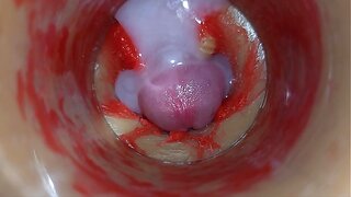 Deep POV Camera Catches Massive Creampie Explosion – Sensual ASMR Gay StepMoments