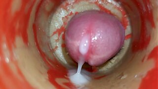Deep Inside Her: Creampie Cervix POVs in Stunning 4K – ASMR Intimacy