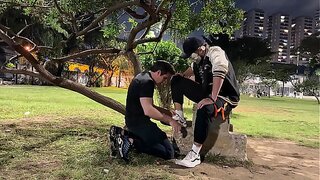 Street Slave for Hire: Humiliation Lover Takes It All in Public – GayEscortX 18+
