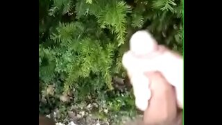 Amateur Big Dick Cock Tease and Hot Masturbation Session Revealed